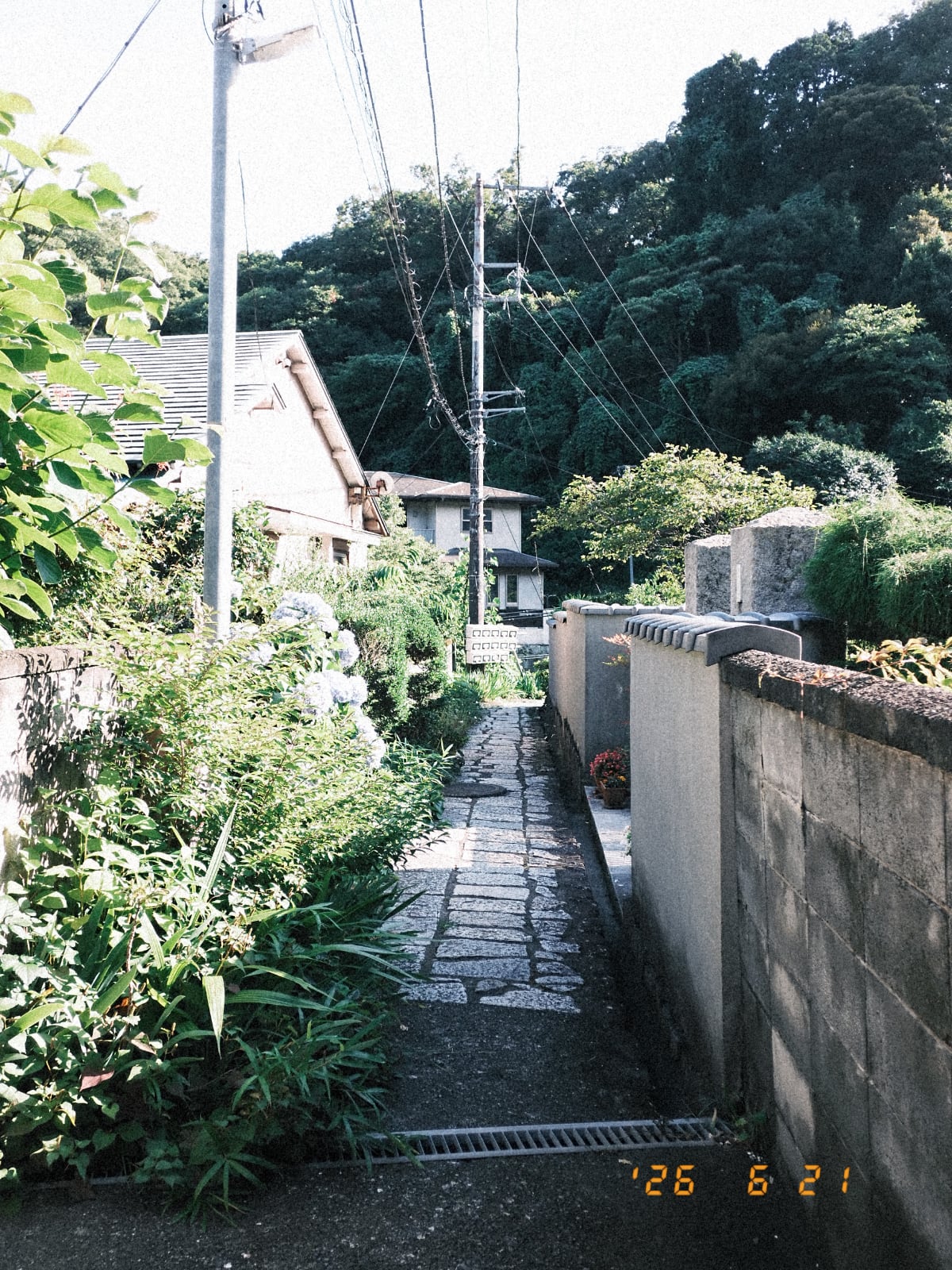 snaphkin スナフキン